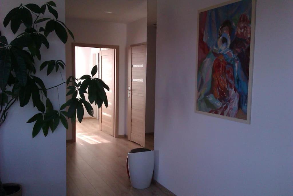 Apartment Peaceful Stay/heart Of Gdansk/unforgettable Gdansk
